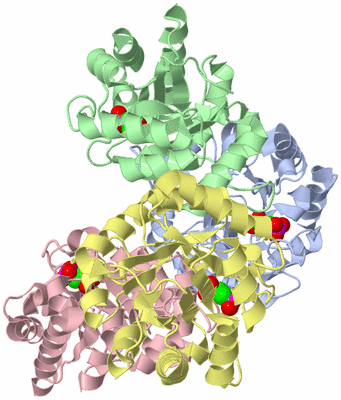 Image Biological Unit 1