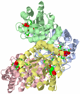 Image Biol. Unit 1 - sites