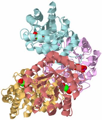 Image Biological Unit 2