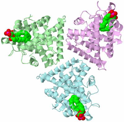 Image Biological Unit 2