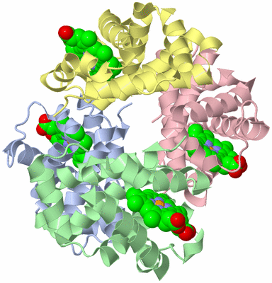 Image Asym./Biol. Unit