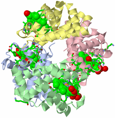 Image Asym./Biol. Unit - sites