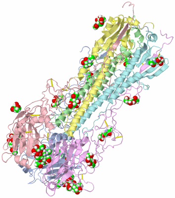 Image Asym./Biol. Unit
