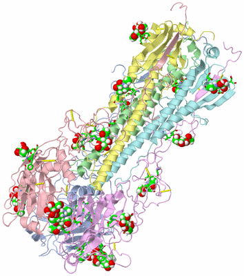 Image Asym./Biol. Unit - sites
