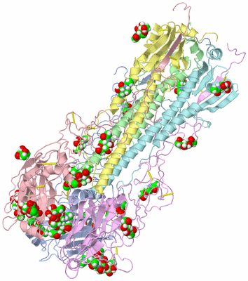 Image Asym./Biol. Unit