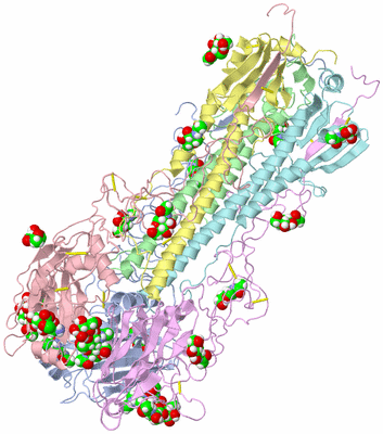 Image Asym./Biol. Unit