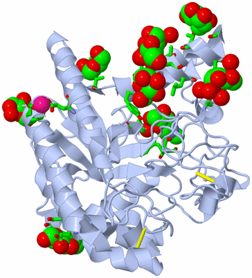 Image Biol. Unit 1 - sites