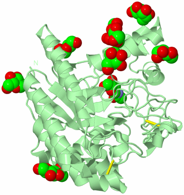 Image Biological Unit 2