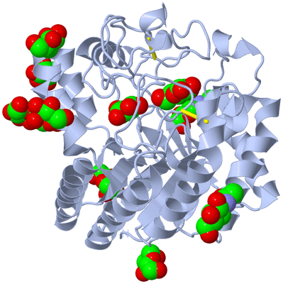 Image Biological Unit 1