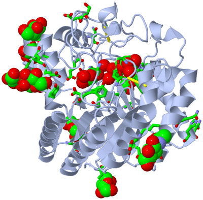 Image Biol. Unit 1 - sites