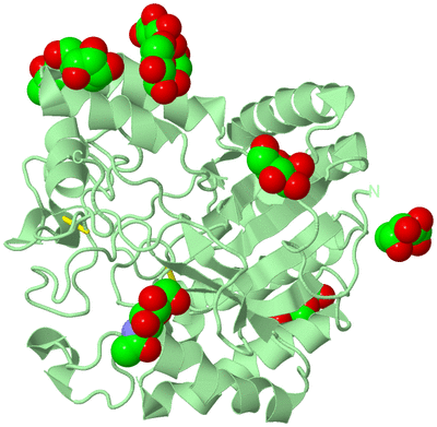 Image Biological Unit 2