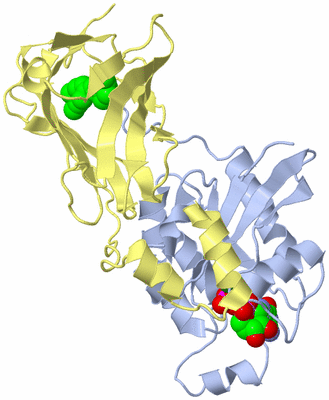 Image Biological Unit 1