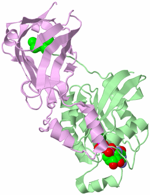 Image Biological Unit 2