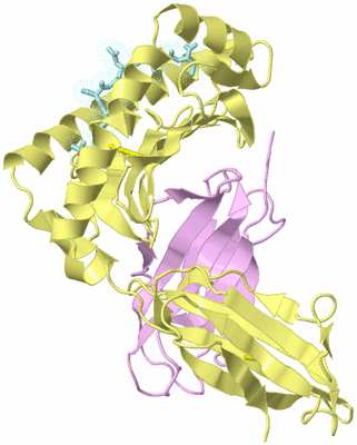 Image Biological Unit 2