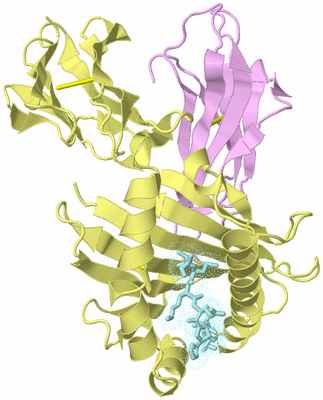 Image Biological Unit 2