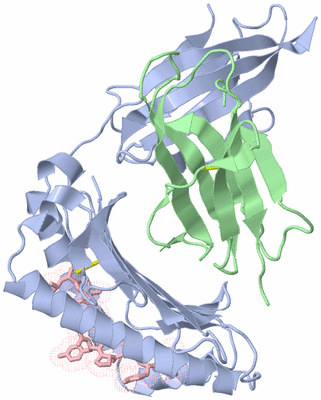 Image Biological Unit 1