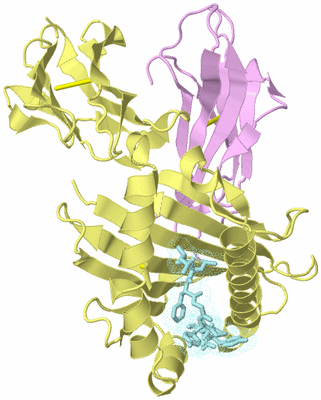 Image Biological Unit 2