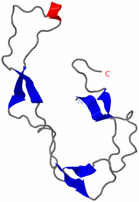 Image NMR Structure - model 1