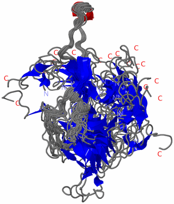 Image NMR Structure - all models