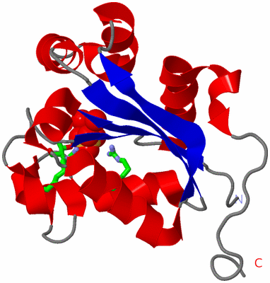 Image Asym. Unit - sites