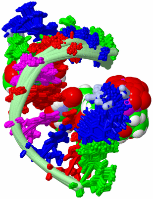 Image NMR Structure - all models