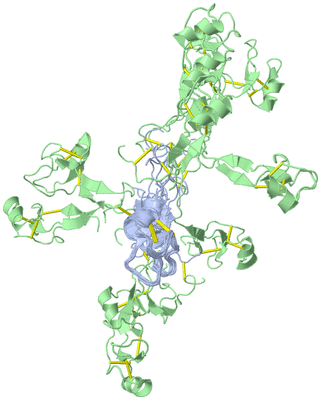 Image NMR Structure - all models