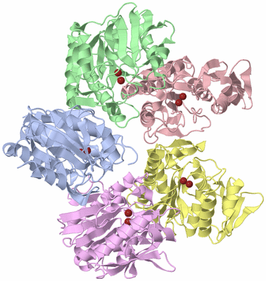 Image Asymmetric Unit