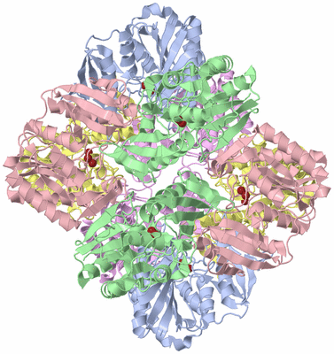 Image Biological Unit 1