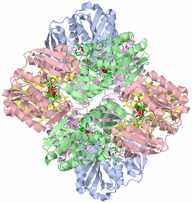 Image Biol. Unit 1 - sites