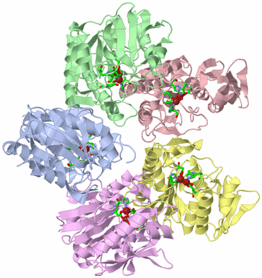 Image Asym. Unit - sites
