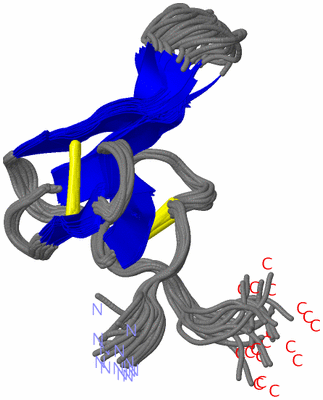 Image NMR Structure - all models