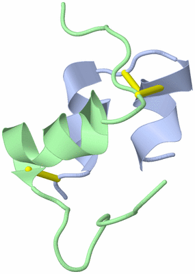 Image NMR Structure - model 1