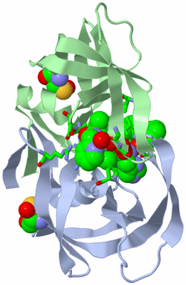 Image Asym./Biol. Unit - sites