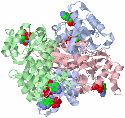 Image Biological Unit 1