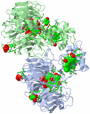 Image Asym./Biol. Unit - sites