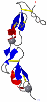 Image NMR Structure - model 1