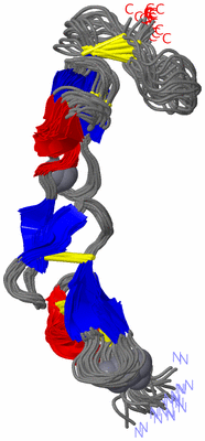 Image NMR Structure - all models