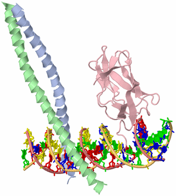 Image Biological Unit 1