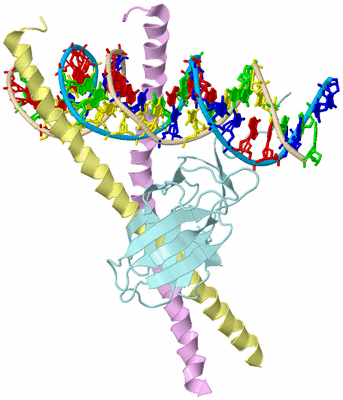 Image Biological Unit 2