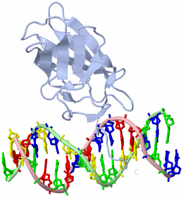 Image Biological Unit 1