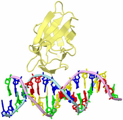 Image Biological Unit 2