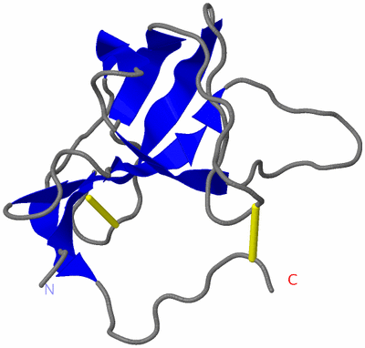 Image NMR Structure - model 1