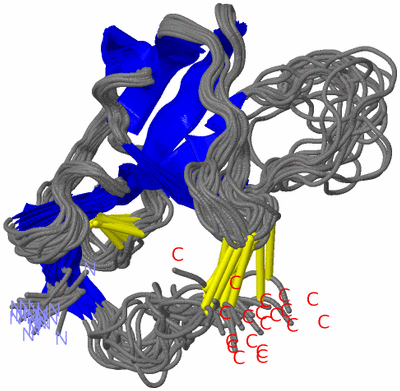 Image NMR Structure - all models