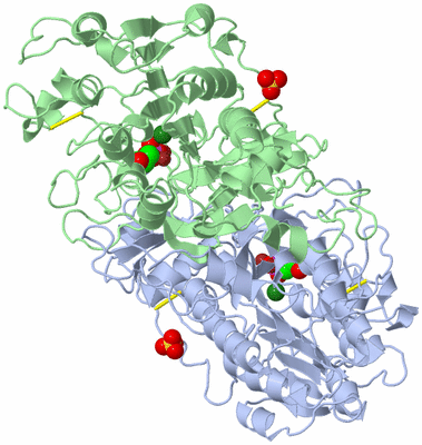 Image Asym./Biol. Unit