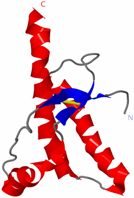 Image NMR Structure - model 1