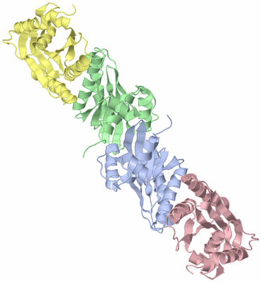 Image Asymmetric Unit