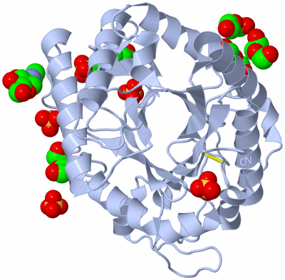 Image Biological Unit 1