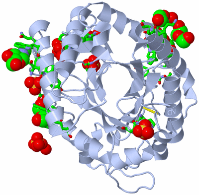 Image Biol. Unit 1 - sites