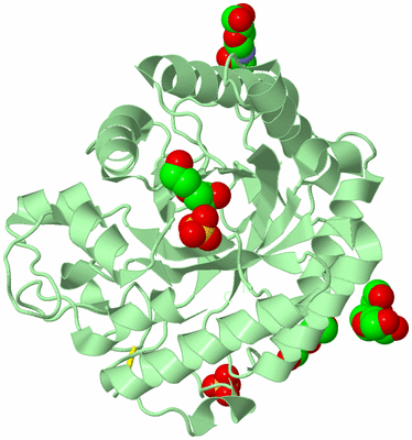 Image Biological Unit 2