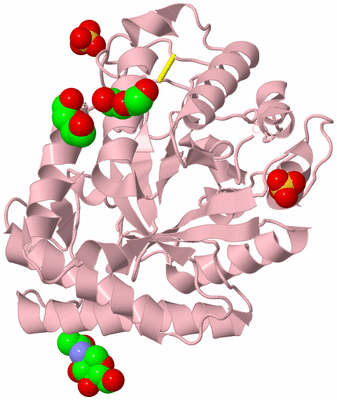 Image Biological Unit 3